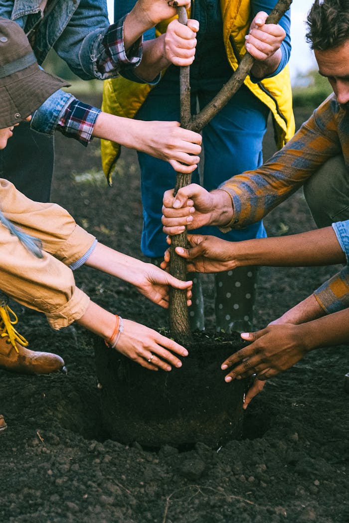 our-services-2 A diverse group working together to plant a tree, symbolizing teamwork and sustainability.